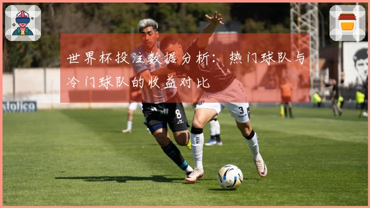 世界杯投注数据分析：热门球队与冷门球队的收益对比