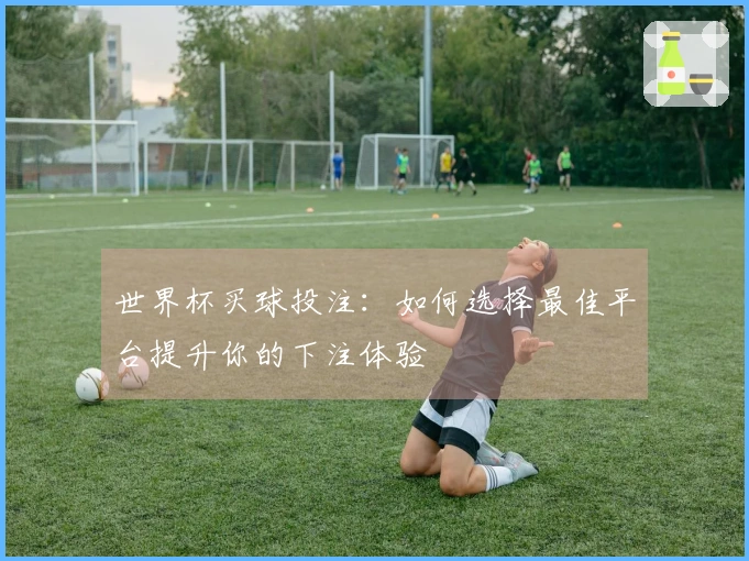 世界杯买球投注：如何选择最佳平台提升你的下注体验