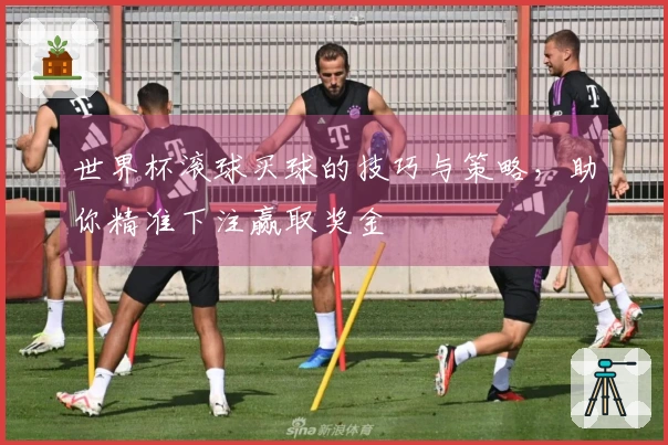 世界杯滚球买球的技巧与策略，助你精准下注赢取奖金
