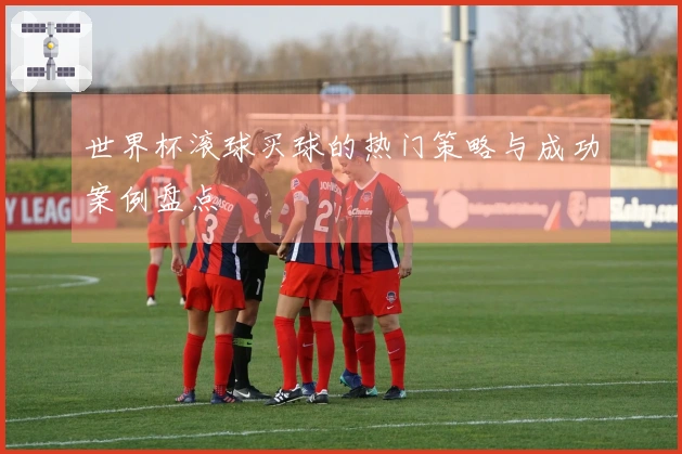 世界杯滚球买球的热门策略与成功案例盘点