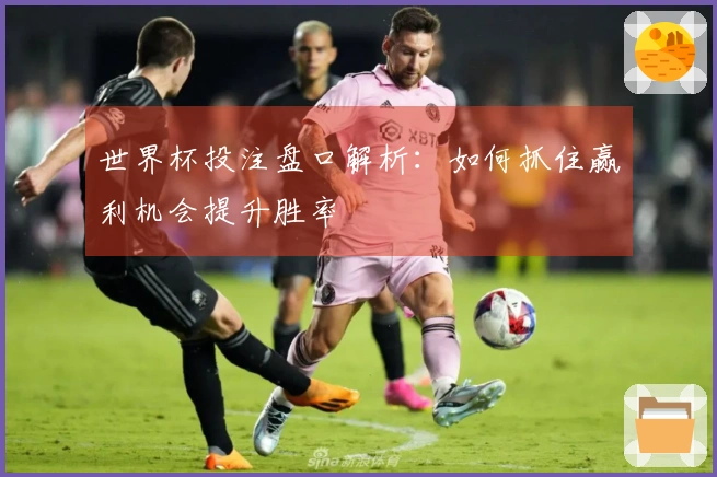 世界杯投注盘口解析：如何抓住赢利机会提升胜率