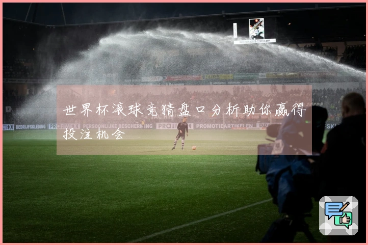 世界杯滚球竞猜盘口分析助你赢得投注机会