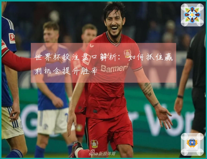 世界杯投注盘口解析：如何抓住赢利机会提升胜率