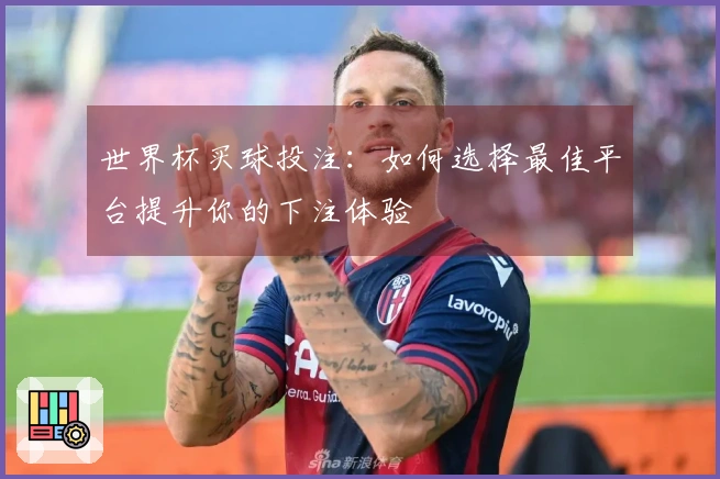 世界杯买球投注：如何选择最佳平台提升你的下注体验