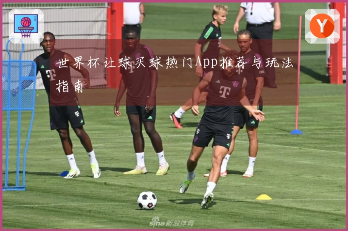 世界杯让球买球热门App推荐与玩法指南