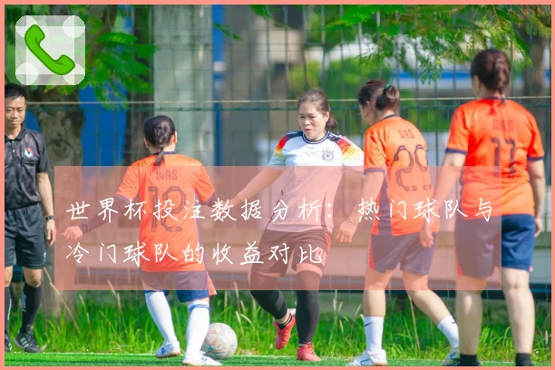 世界杯投注数据分析：热门球队与冷门球队的收益对比