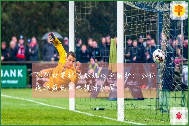 2026世界杯买球玩法全解析：如何选择最优策略提升胜算