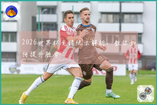 2026世界杯竞猜玩法解析，教你如何提升胜率