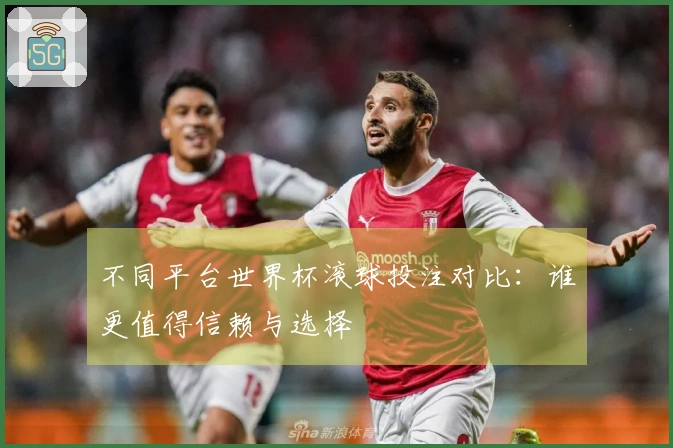 不同平台世界杯滚球投注对比：谁更值得信赖与选择