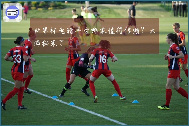 世界杯竞猜平台哪家值得信赖？大揭秘来了