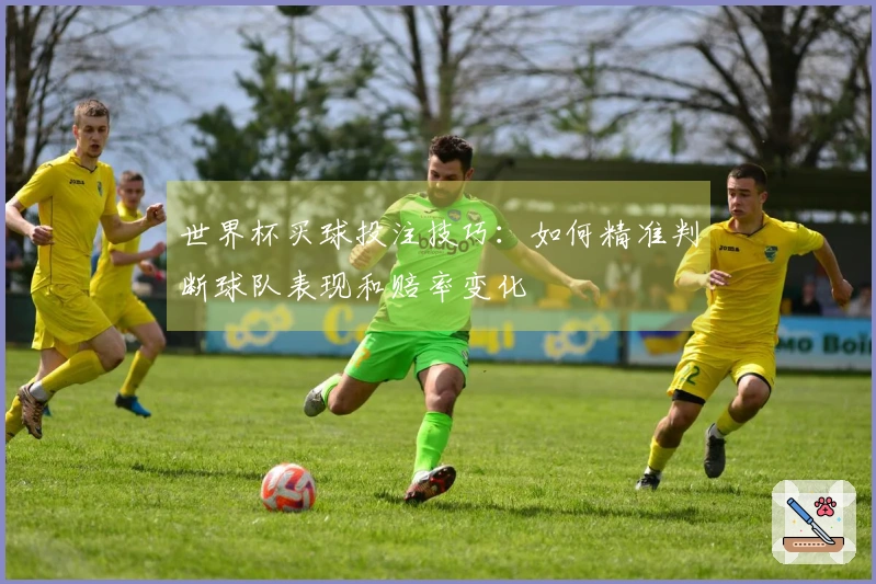 世界杯买球投注技巧：如何精准判断球队表现和赔率变化
