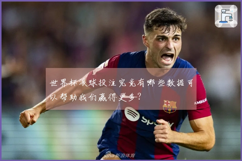 世界杯滚球投注究竟有哪些数据可以帮助我们赢得更多？